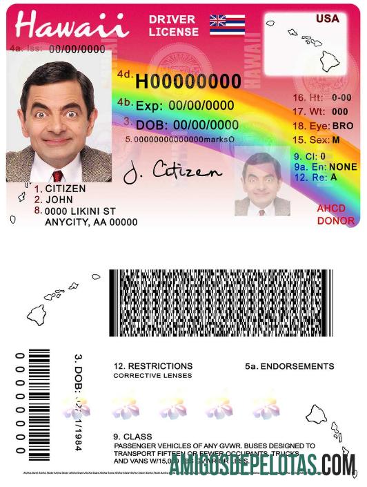 Carteira de motorista do Havaí modelo